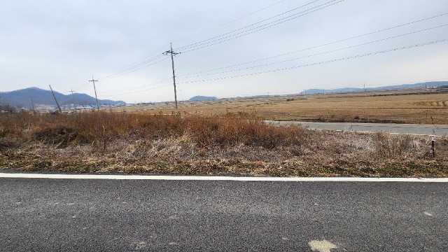 20250116_140308.jpg
