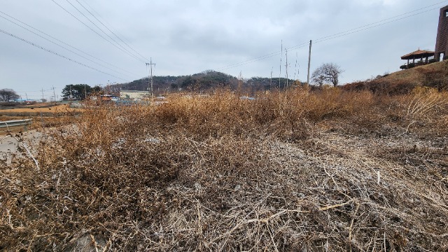 20250116_140150.jpg