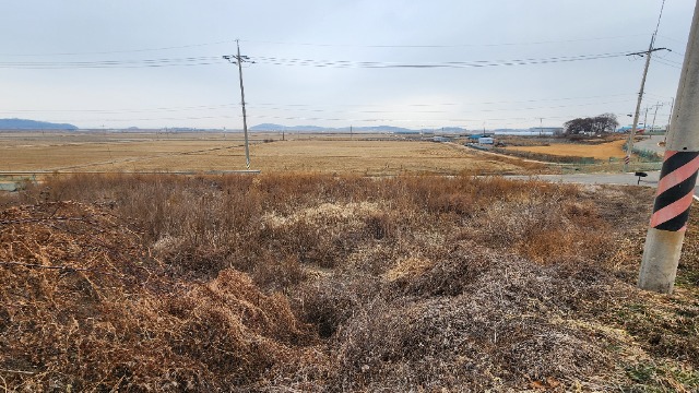 20250116_140335.jpg