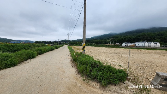 20250610_105936.jpg