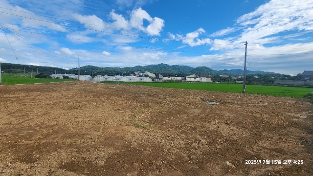 20250715_162534.jpg