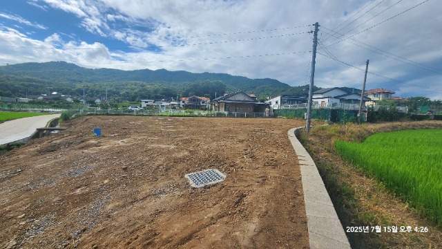 20250715_162626.jpg