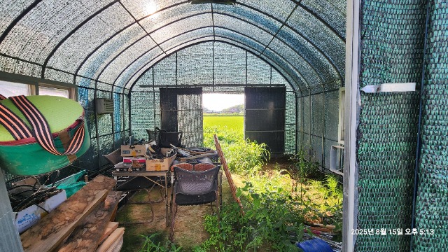 20250815_171323.jpg