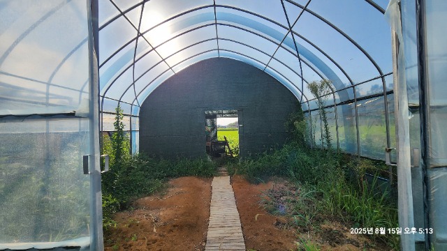 20250815_171333.jpg